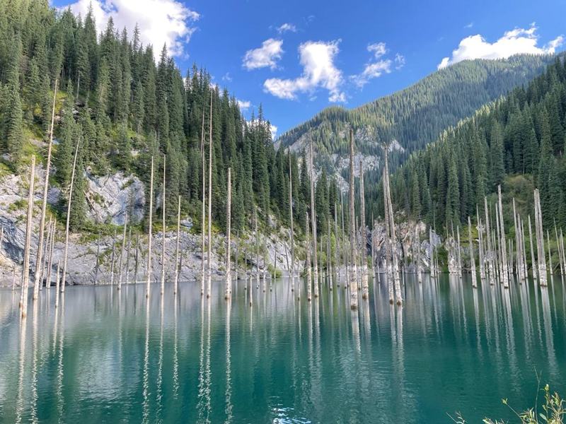 Dead spruce trunks rising from the turquoise water of Lake Kaindy, Kazakhstan