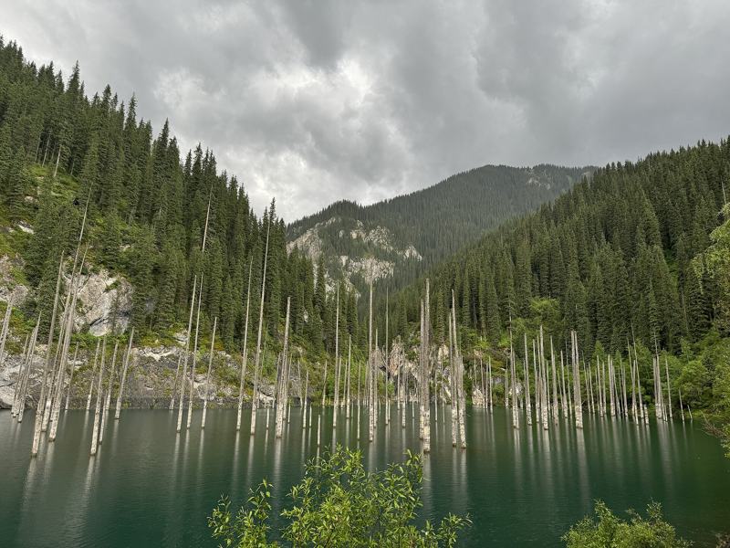 Lake Kaindy underwater forest under a cloudy sky, with spruce-covered slopes behind
