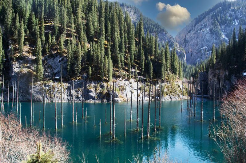 Lake Kaindy, Kazakhstan: bleached tree trunks standing in blue water below snowy peaks