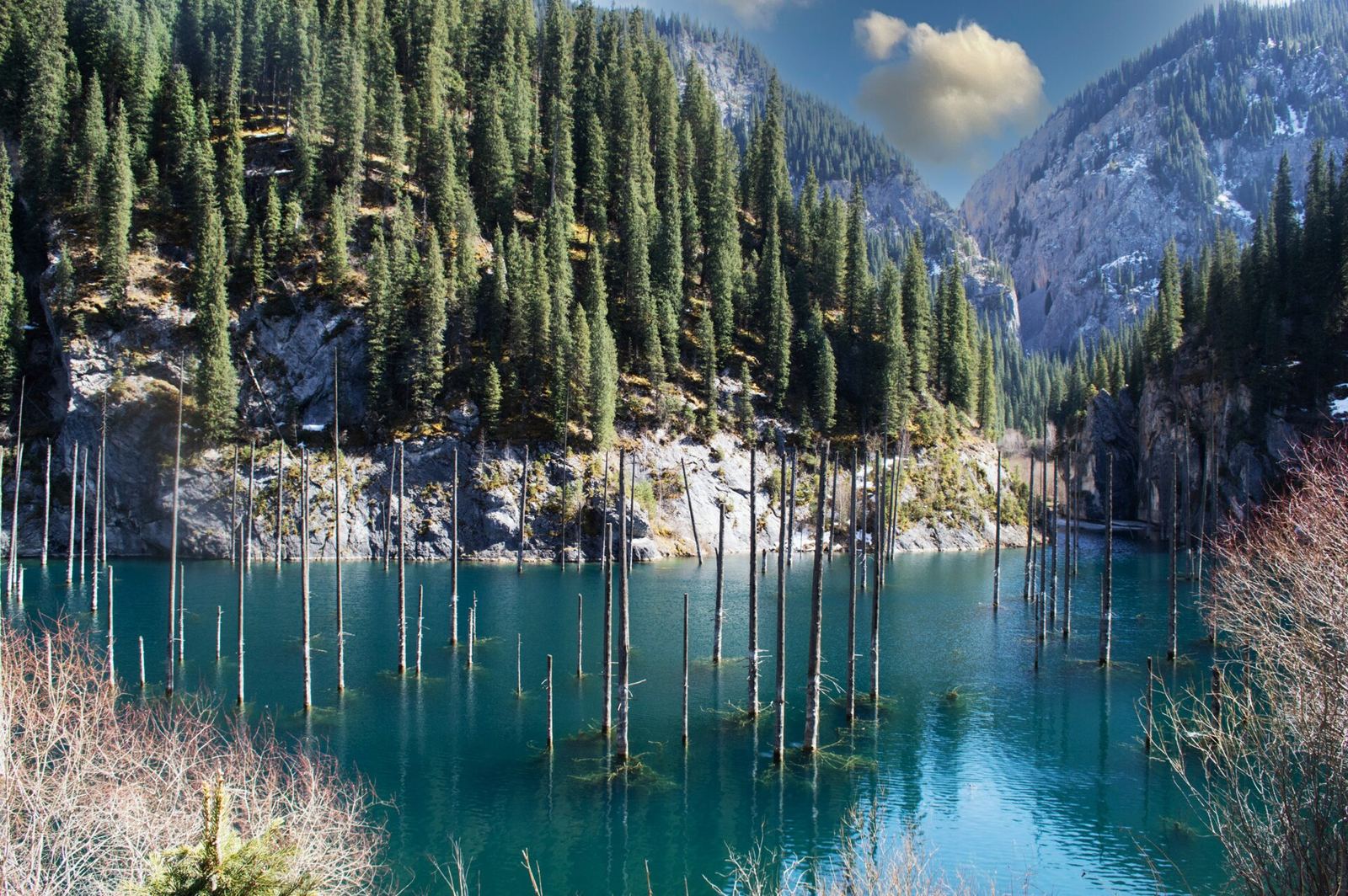 Lake Kaindy, Kazakhstan: bleached tree trunks standing in blue water below snowy peaks