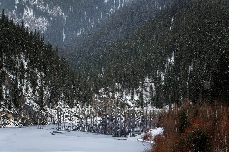 Lake Kaindy in winter, frozen and snow-covered with trunks locked in the ice