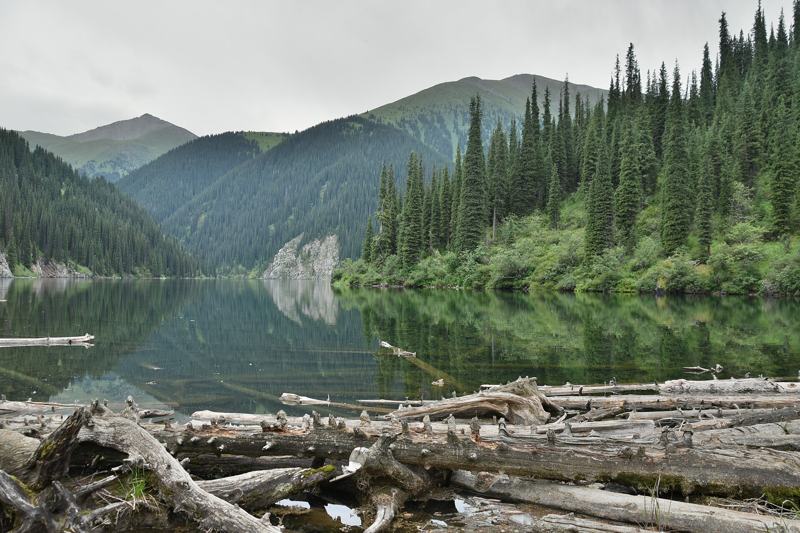 Middle Kolsai Lake with driftwood and spruce forest